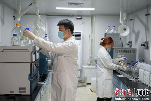 廊坊市積極引進京津創新資源，賦能生物醫藥研發產業高質量發展